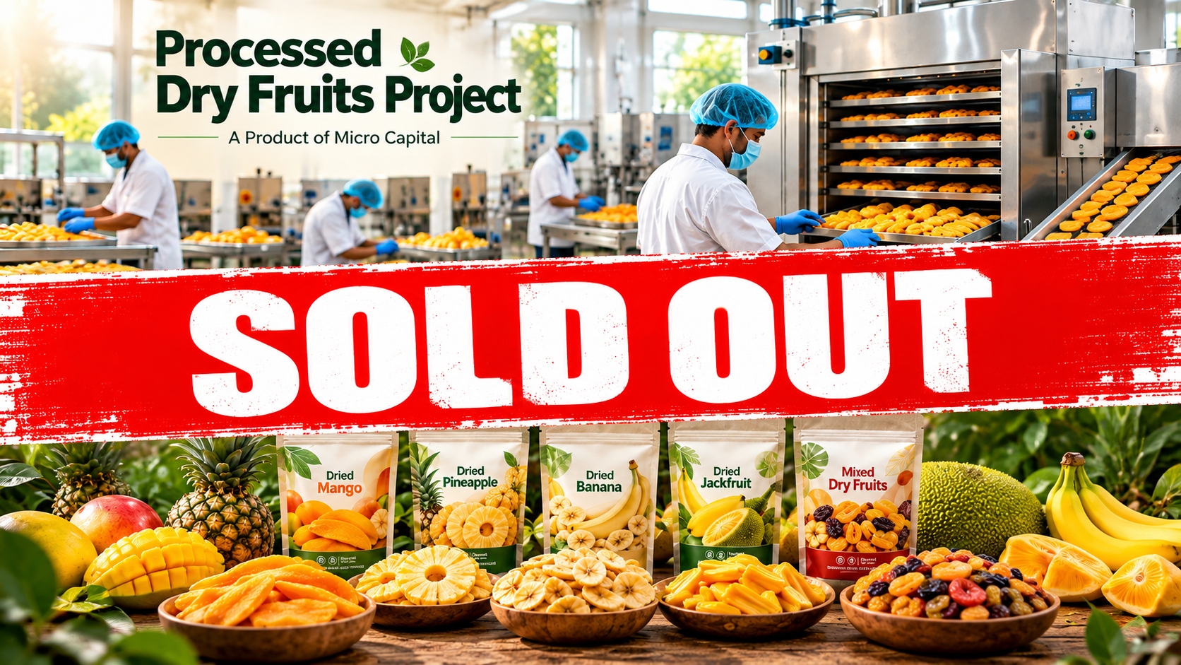 Process Dry Fruits Project
